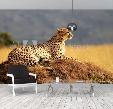 Bild på Cheetah on the Masai Mara in Africa